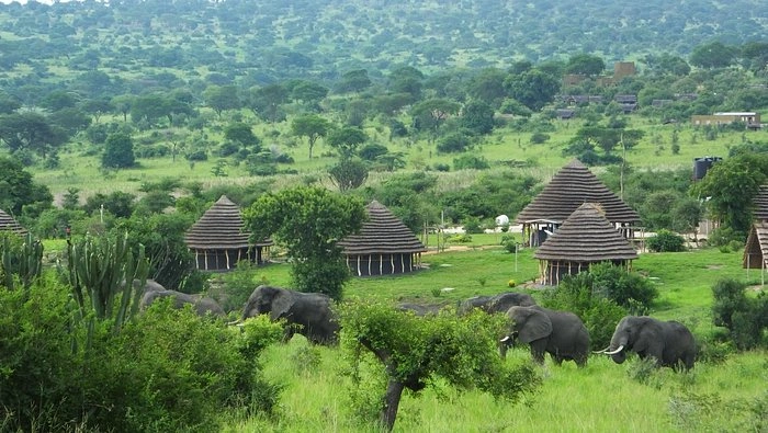 Heritage-Safari-Lodge