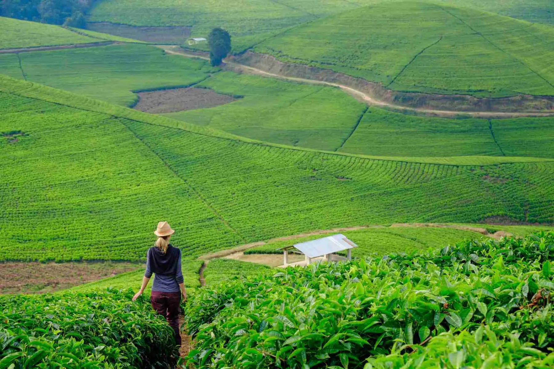 10 Days Rwanda Safari