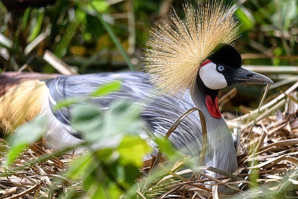 best-places-to-visit-in-uganda