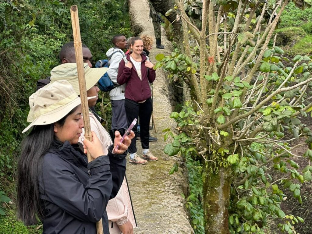 Bwindi Impenetrable National Park, located in southwestern Uganda, is world-famous as a sanctuary