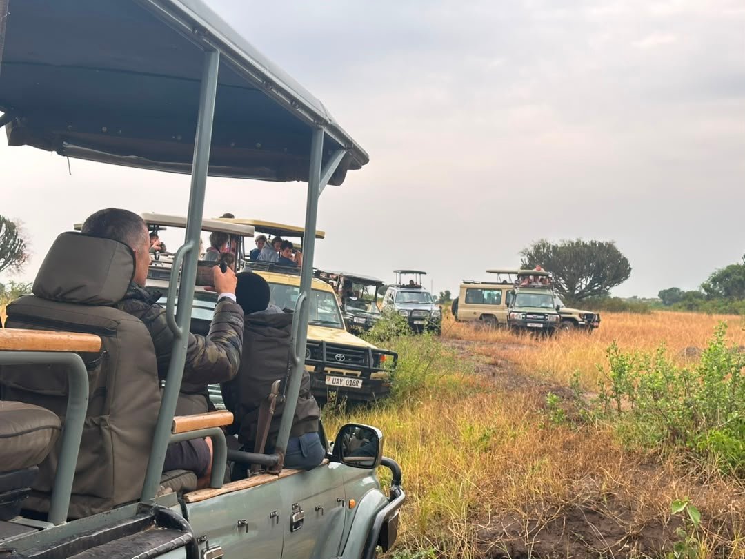 where-to-do-a-game-drive-in-uganda