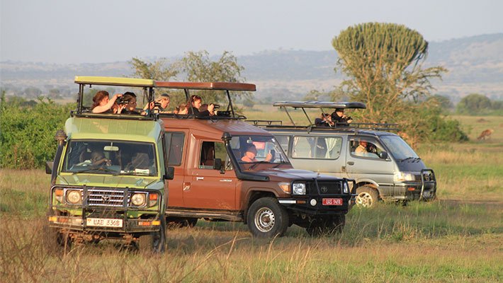 what-to-expect-on-game-drive-in-murchison-falls