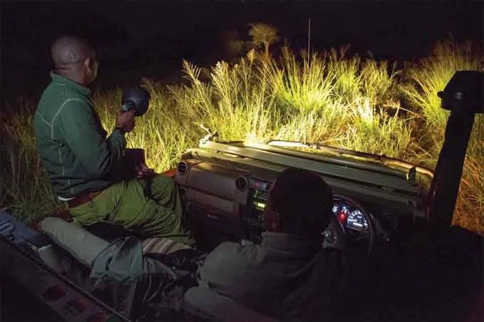 night-game-drive-in-kidepo