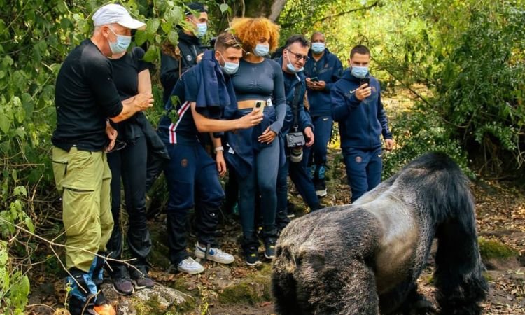 gorilla-trek-safaris-for-old-people