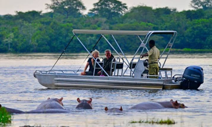 combining-murchison-falls-with-kibale-tour